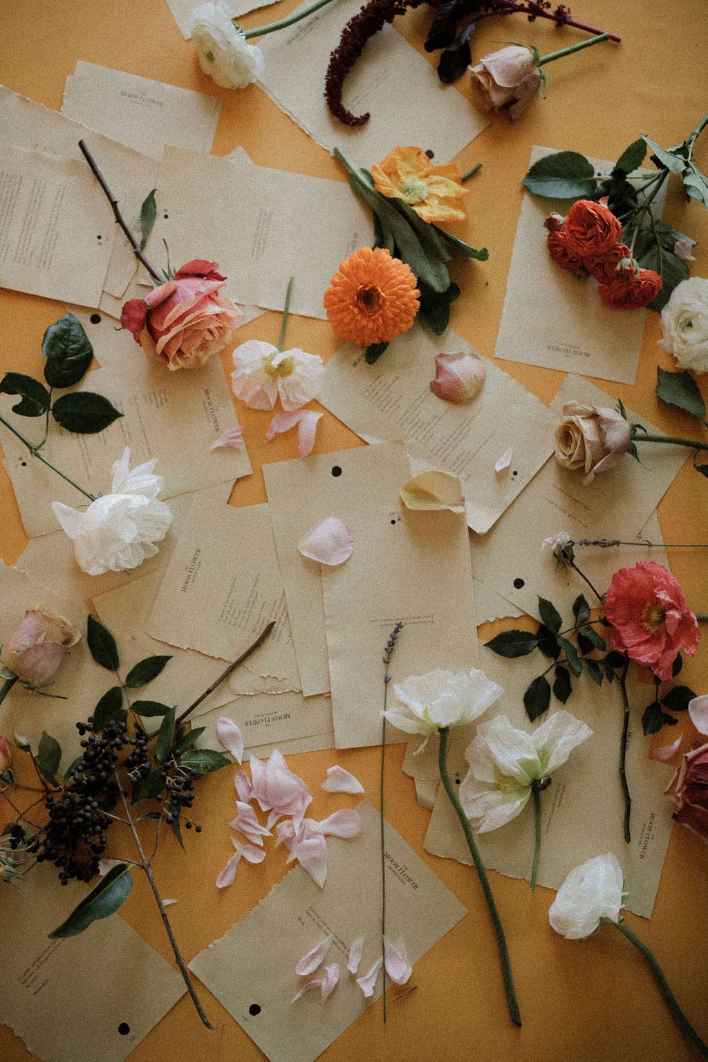 The Moonflower Monologues Book By Tess Guinery - Image 6