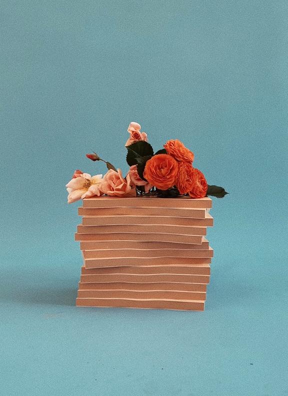 The Moonflower Monologues Book By Tess Guinery - Image 4